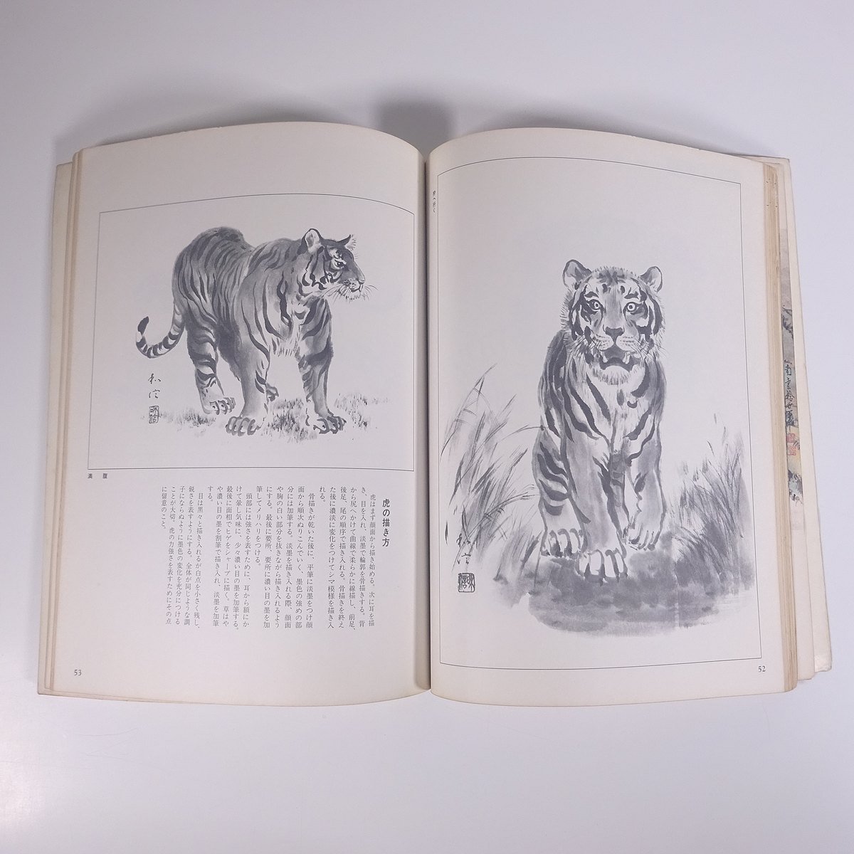 .... season ... separate volume day . publish company 1985 large this drawing version llustrated book art fine art picture book of paintings in print work compilation Japanese picture water ink picture ... tiger 