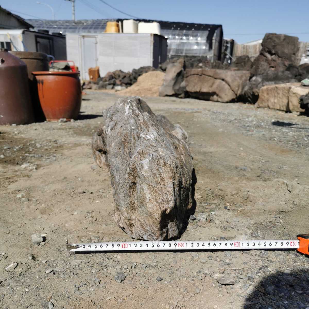 石灰岩段石68キロ 庭石鑑賞石石盆石水石灯籠庭坪庭盆栽 石灰岩段石68キロ 庭石鑑賞石石盆石水石灯籠庭坪庭盆栽