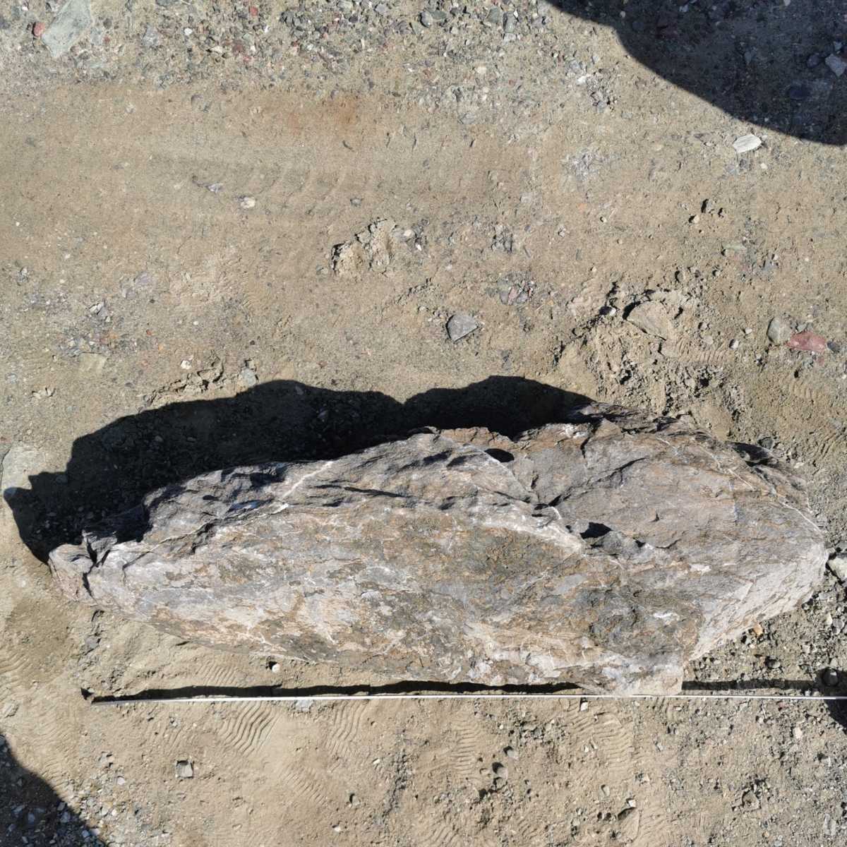 石灰岩段石68キロ 庭石鑑賞石石盆石水石灯籠庭坪庭盆栽 石灰岩段石68キロ 庭石鑑賞石石盆石水石灯籠庭坪庭盆栽