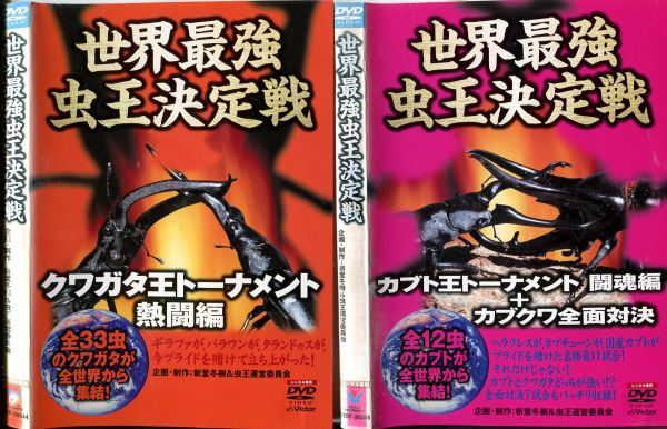 ■C7863 R落DVD「世界最強虫王決定戦 クワガタ王…＆カブト王」2本セット ケース無し レンタル落ち_画像1