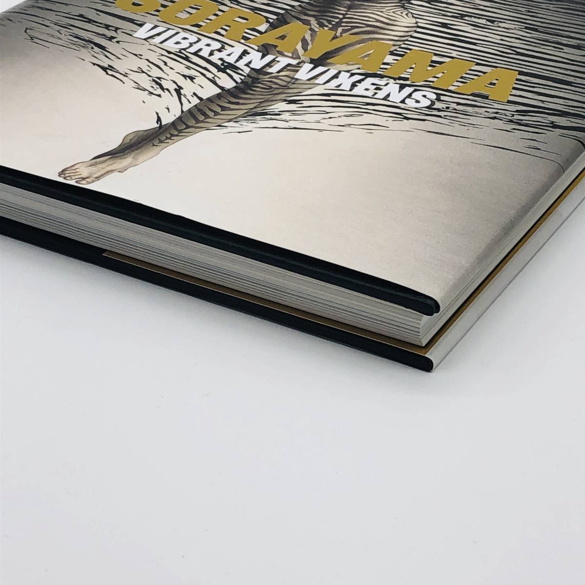 美品 】 洋書 空山基 2013年 作品集 『 Vibrant Vixens Sorayama 美品 】 洋書 空山基 2013年 作品集 『 Vibrant Vixens Sorayama