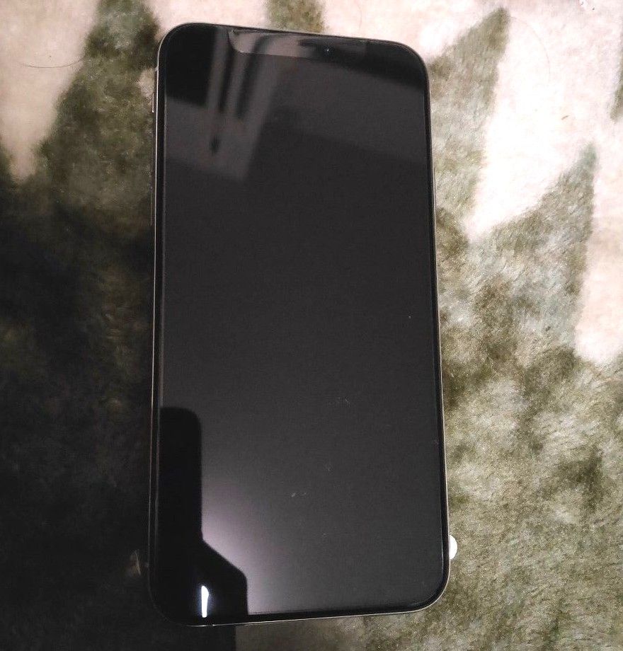 しのさん専用 新品交換品 IPhone XS 256GB Silver シルバー しのさん専用 新品交換品 IPhone XS 256GB Silver シルバー