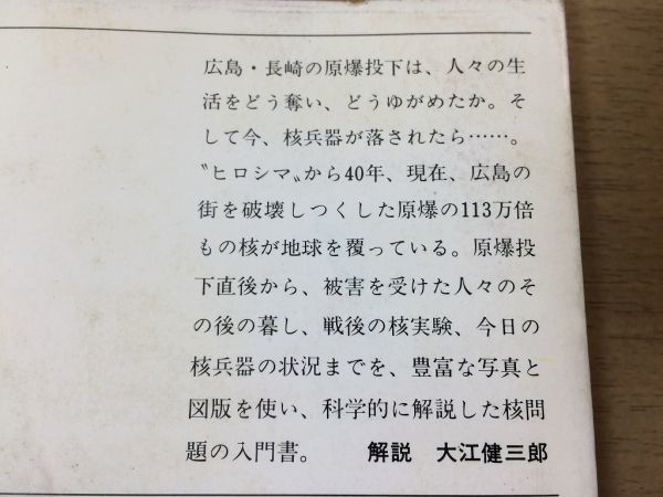 ●P053●ヒロシマは昔話か●庄野直美●風水爆の写真と記録●広島長崎原爆投下核兵器放射能ビキニ核実験被爆者●新潮文庫●即決_画像3