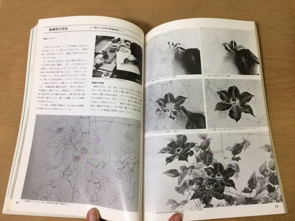 *K04E* marks lie*628* Japanese picture flowers and birds. .. person * fine art magazine .. beautiful . middle rose plum . leaf . raw natural mineral pigments iron line flower persimmon ... butterfly orchid that is ... earth toy * prompt decision 