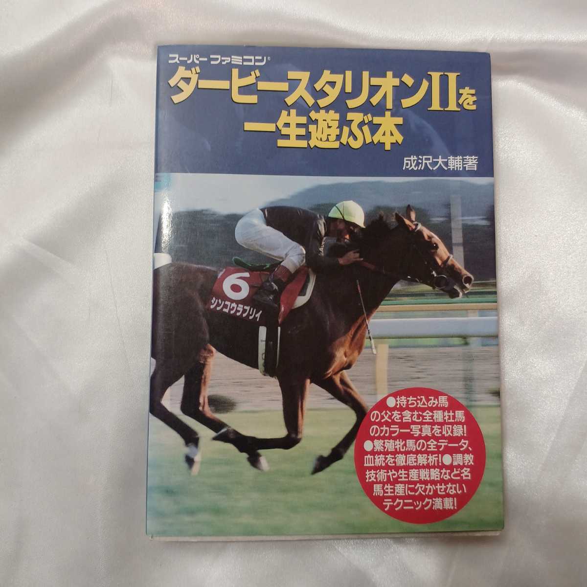 zaa-422♪ファミコン　ダービースタリオンを一生遊ぶ本+ダービースタリオン2を一生遊ぶ本　2冊セット　成沢 大輔(著) JICC出版局_画像6