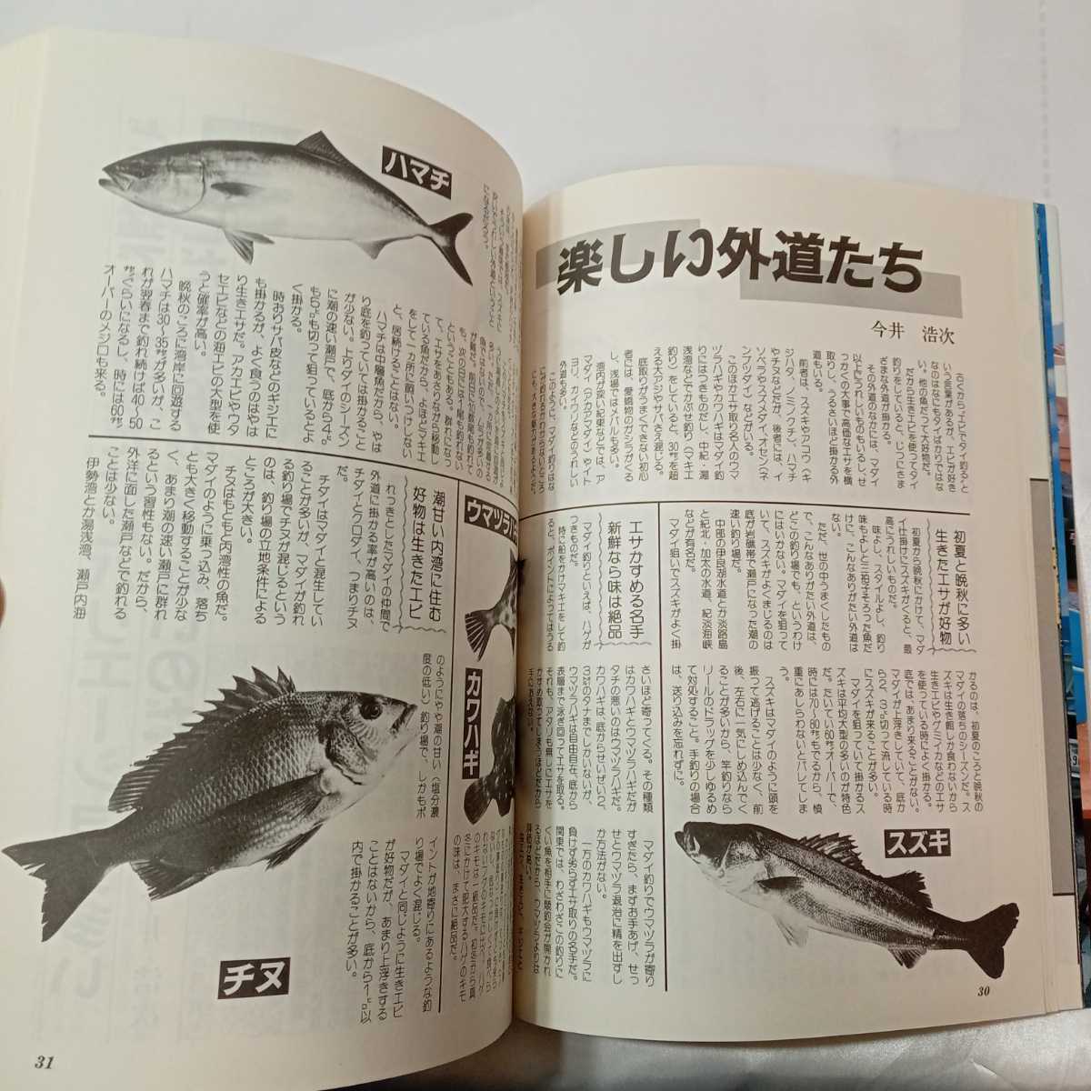 zaa-424♪マダイのすべて　週刊釣サンデー別冊魚シリーズ13　1987/12/20 