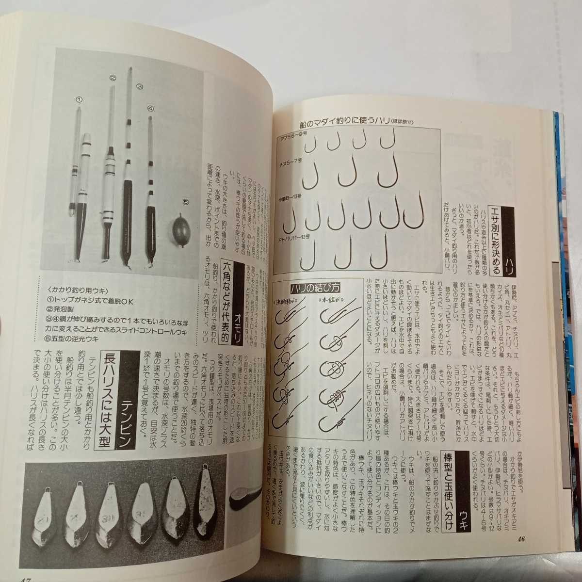 zaa-424♪マダイのすべて　週刊釣サンデー別冊魚シリーズ13　1987/12/20 _画像6