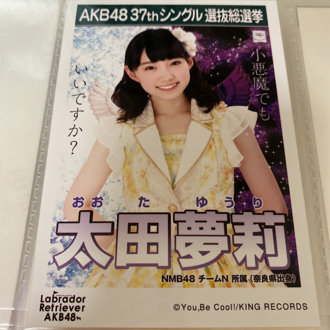 AKB48 太田夢莉 ラブラドールレトリバー 劇場盤 生写真 選挙ポスター 選抜総選挙 NMB48_画像1