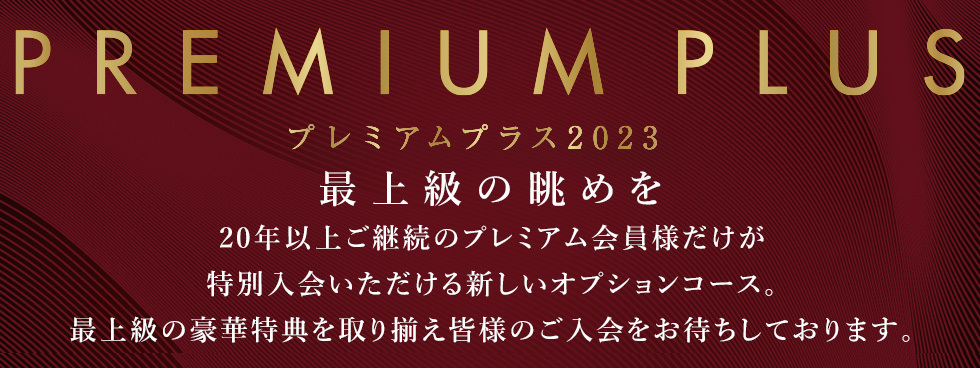 ★ 送料無料 !!! ★ 阪神タイガース ○ Premium Plus ○ 豪華特典 ! 選べる記念品 ○ バカラ ベガ ワイングラス 2客セット & DVD & メダル