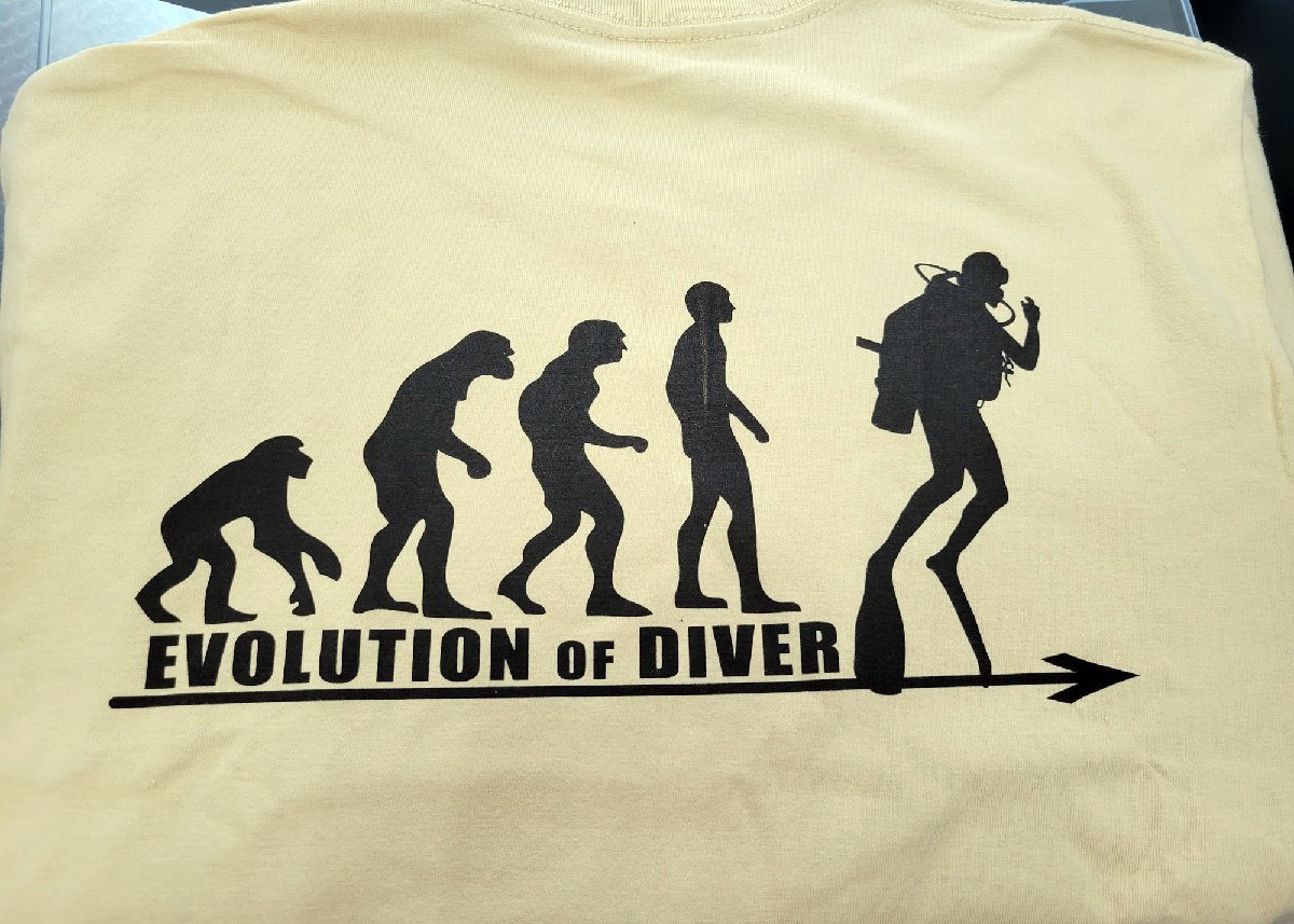 値下 進化 evolution Tシャツ ライトベージュ M ダイバー ダイビング 潜水 スキューバダイビング マリンスポーツ くすみカラー_画像3