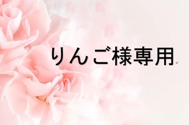 りんご様専用おまとめ2点セット｜Yahoo!フリマ（旧PayPayフリマ）