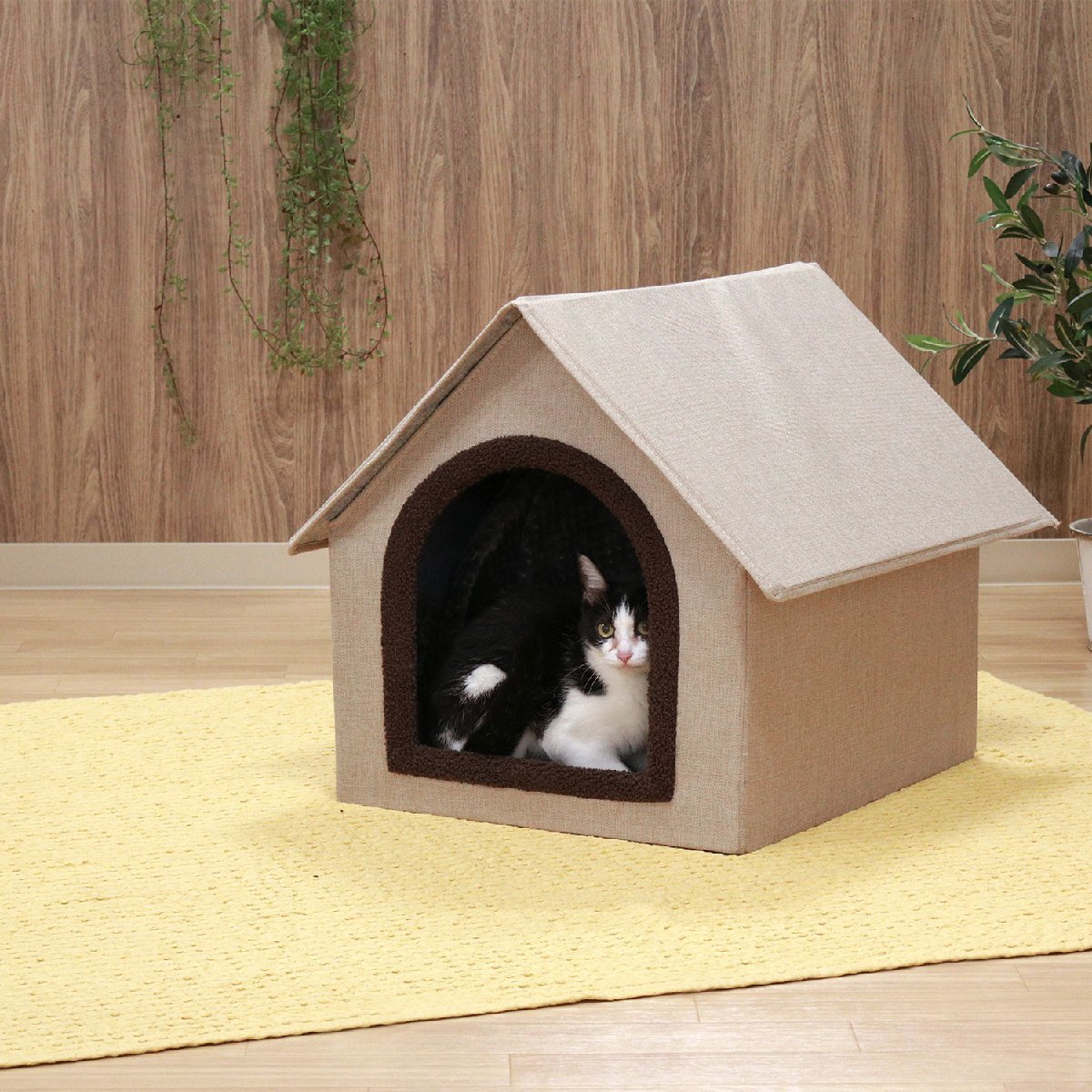  cat cat in pet house cat small size dog beige [ new goods ][ free shipping ]( Hokkaido Okinawa remote island postage separately )