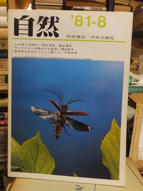 科学雑誌　自然　　　１９８１年８月号　　　　　中央公論社_画像1