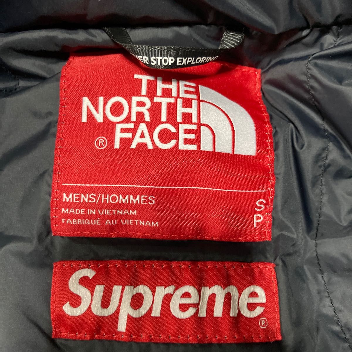 Supreme The North Face Summit Series S Logo Himalayan Parka