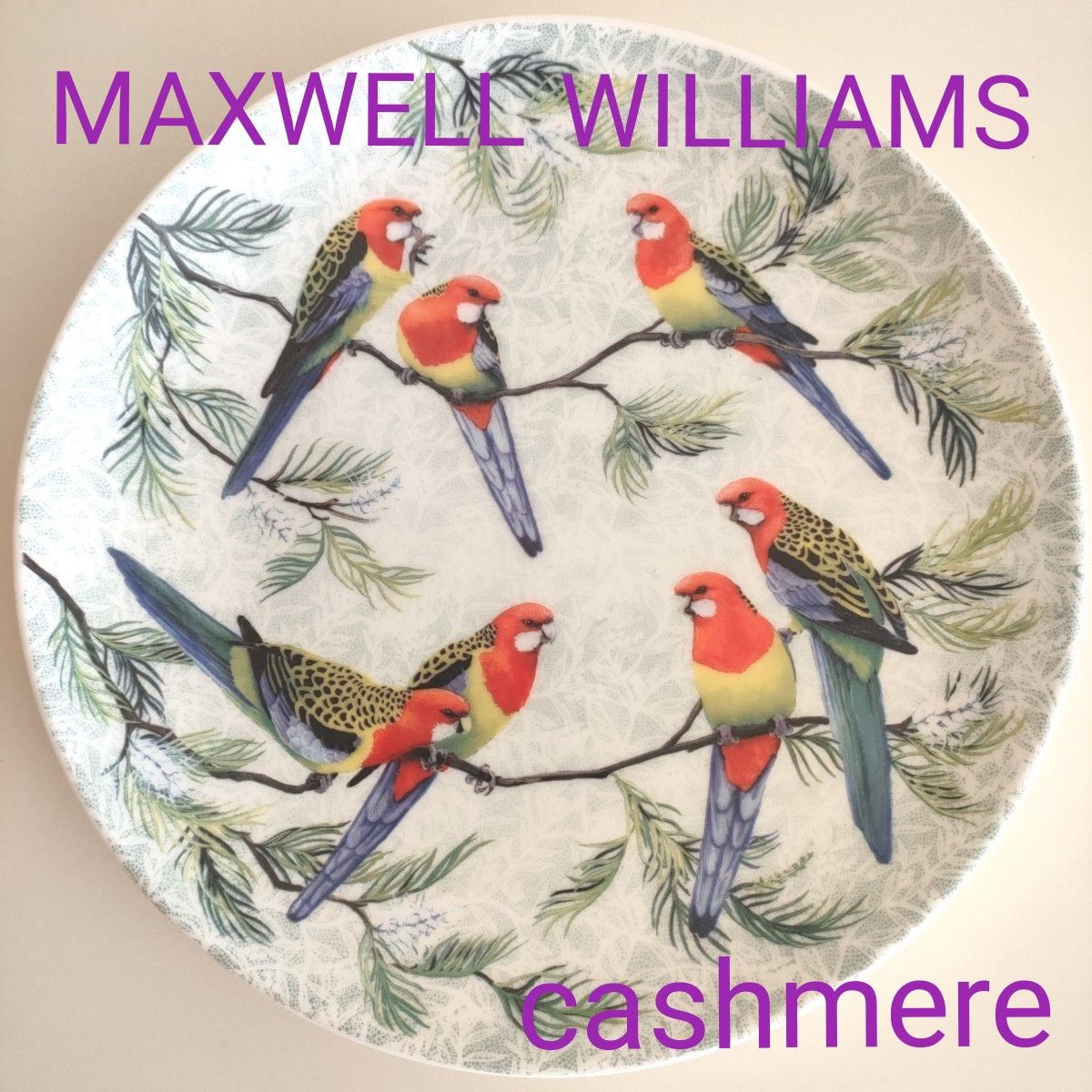 MAXWELL WILLIAMS cashmere 皿 オーストラリア インコ