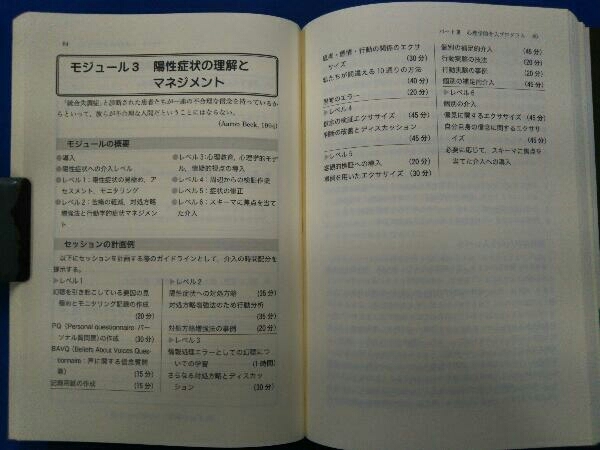 統合失調症のための集団認知行動療法 エマウィリアムズ_画像6