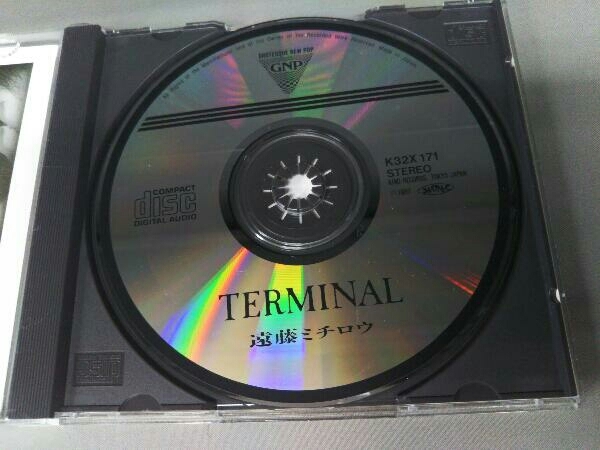 遠藤ミチロウ CD TERMINAL_画像4