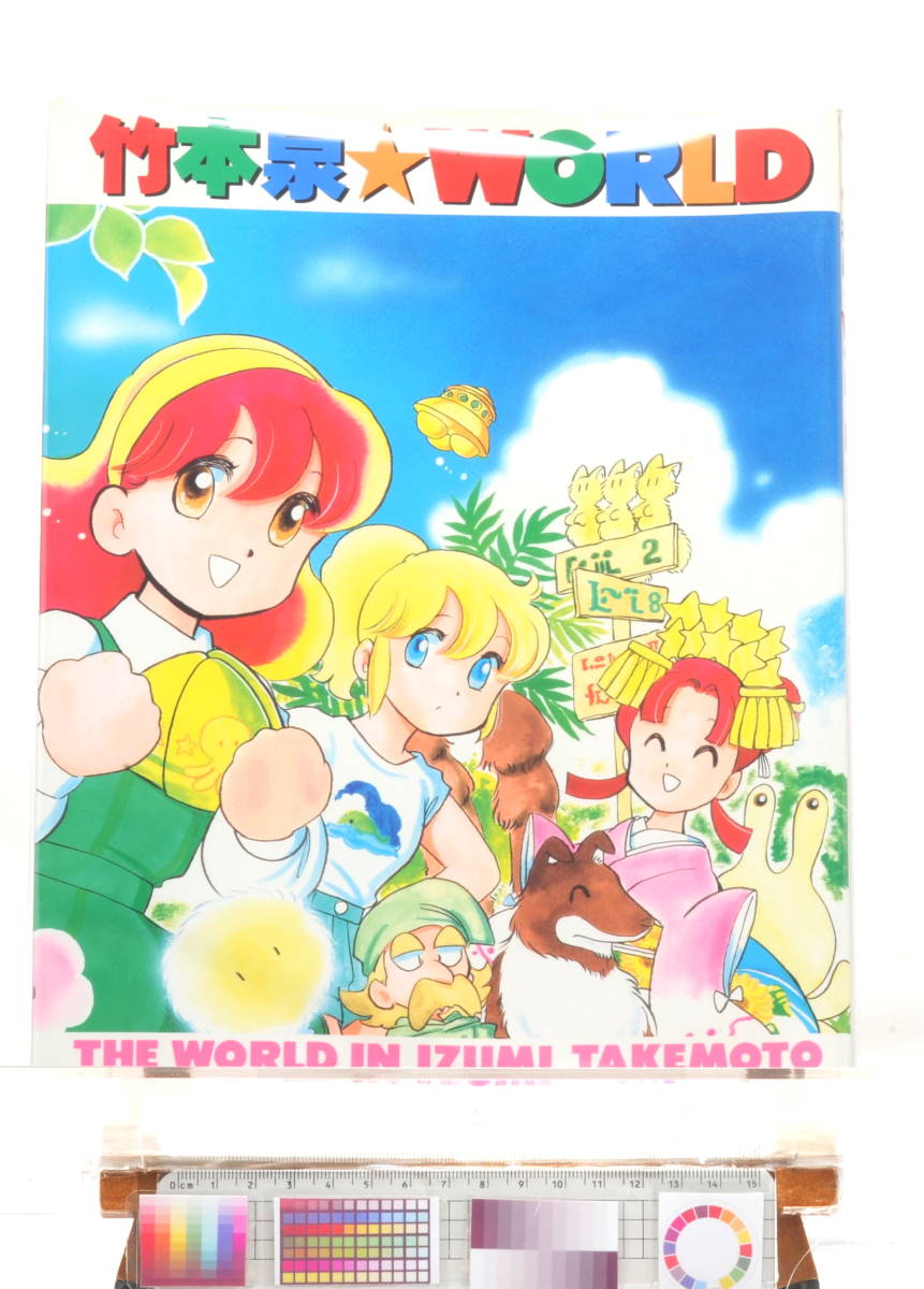 [Delivery Free]1994 IZUMI TAKEMOTO☆WORLD THE WORLD IN IZUMI TAKEMOTO 竹本泉☆WORLD A4 MOOK[tag本]