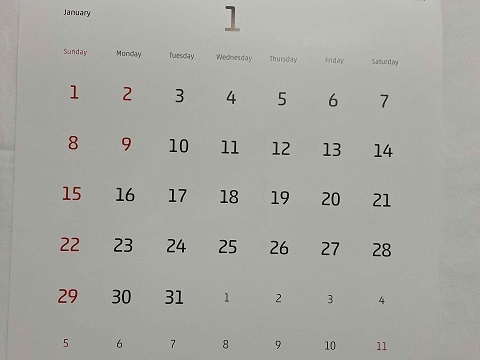 ■企業名入　2023年(令和5年) 写真入り壁掛けカレンダー・彫刻の森美術館＆美ヶ原高原美術館 １－3冊 / まるやまもえる MARUYAMA Moeru _画像5