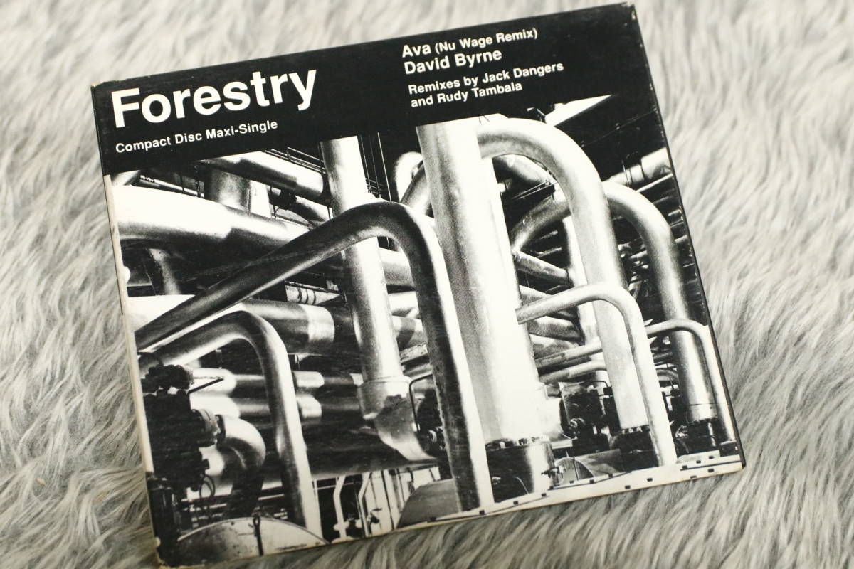 【洋楽CD】David Byrne(デビッド・バーン) 『Forestry』940177-2/CD-16088_画像1
