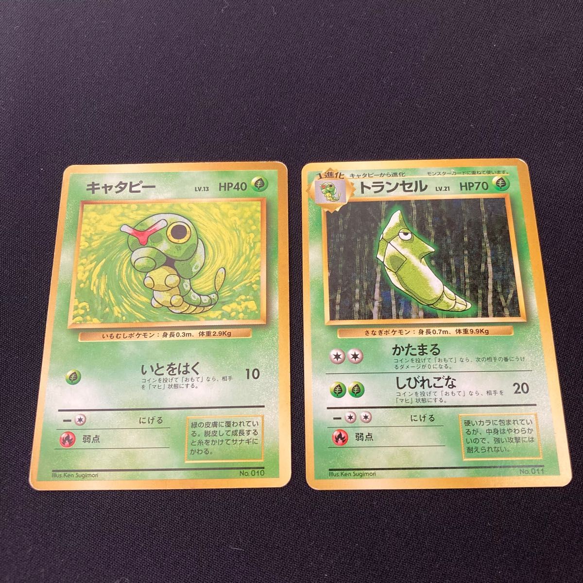 ポケモンカード 旧裏 トランセル 011 進化セット【キャタピー ポケモンカード 旧裏 トランセル 011 進化セット【キャタピー
