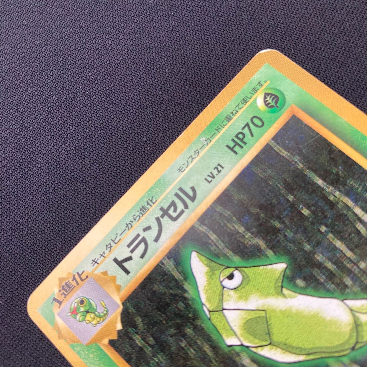 ポケモンカード 旧裏 トランセル 011 進化セット【キャタピー ポケモンカード 旧裏 トランセル 011 進化セット【キャタピー