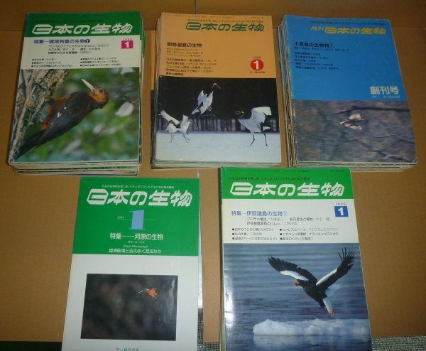 訳あり】 生物誌1987-1991『日本の生物 1987年1月号（創刊号）～1991年