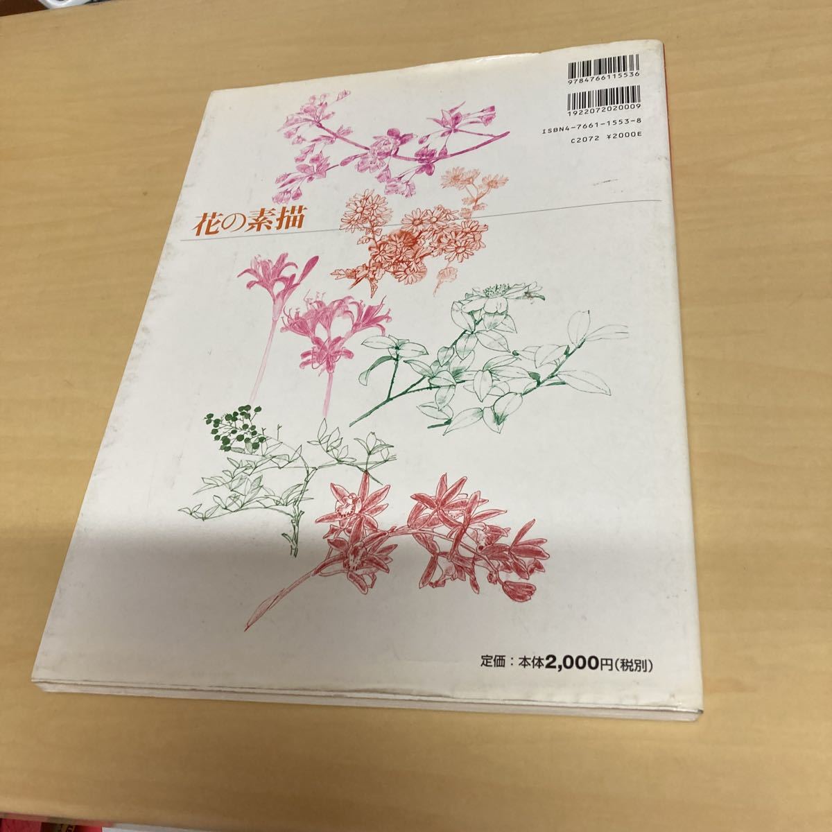 ヤフオク! - 花の素描 木下章