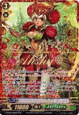 ラナンキュラスの花乙女 アーシャ SCR ヴァンガード 刃華超克 g-bt06-sr02_画像1