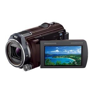 SONY ビデオカメラ HANDYCAM PJ630V 光学12倍 内蔵メモリ64GB ボルドーブラ