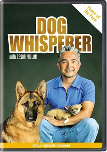 Dog Whisperer With Cesar Millan: Power of the Pack [DVD] [Import]_画像1
