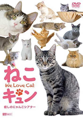 シンフォレストDVD ねこキュン 癒しのにゃんこシアター We Love Cat（中古品）_画像1