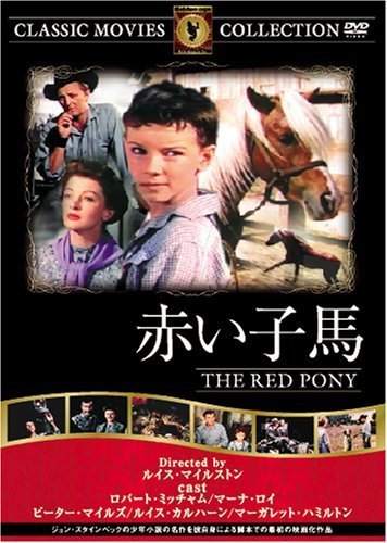 赤い子馬 [DVD] FRT-198（中古品）_画像1