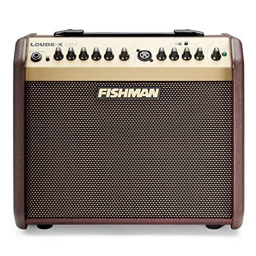 FISHMAN/LOUDBOX MINI with Bluetooth Fishman 