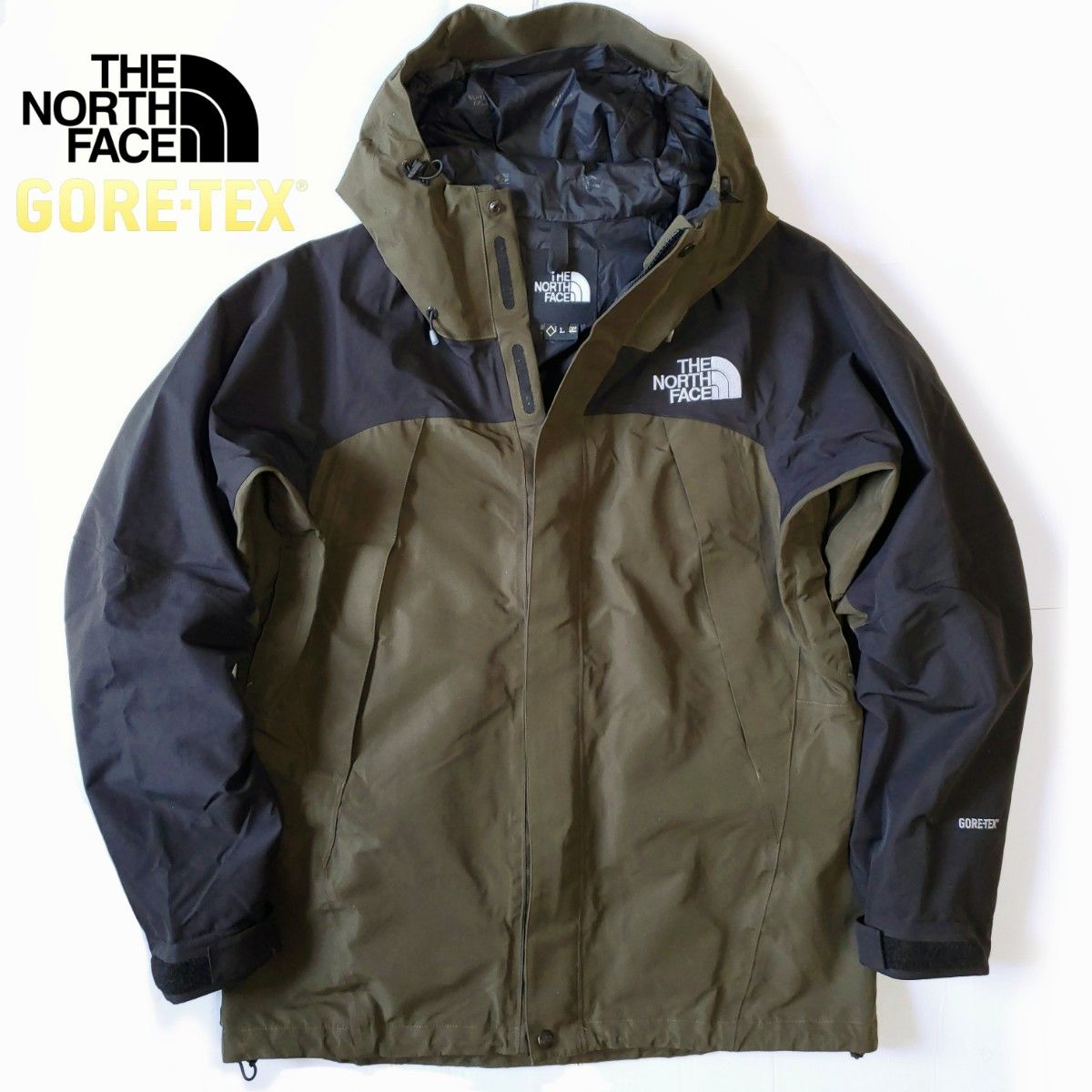 THE NORTH FACE L GORE TEX ゴアテックス マウンテン ジャケット