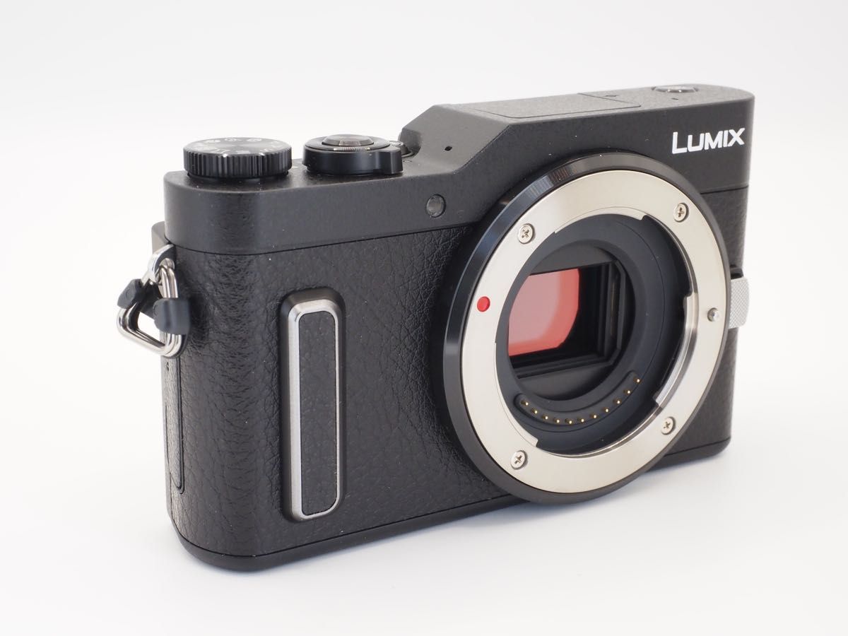 23年1月購入】 パナソニック Panasonic LUMIX DC-GF10 ボディ 【新品未