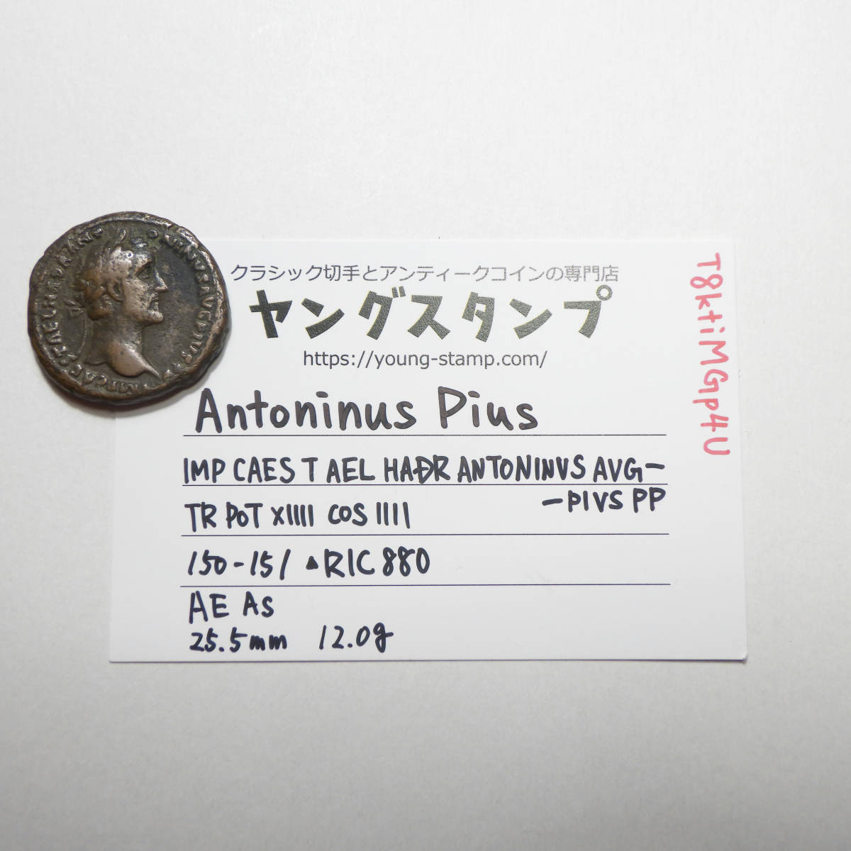 【古代ローマコイン】Antoninus Pius（アントニヌス・ピウス）クリーニング済 ブロンズコイン 銅貨(T8ktiMGp4u)_画像10