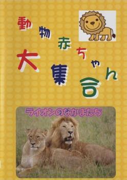  животное младенец большой набор 1 лев. .. кроме того, . б/у DVD