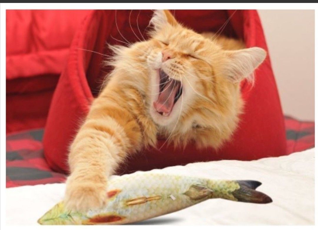 本物の魚みたいな猫のおもちゃ 合計28匹 鮒 鯖 さんま鮭