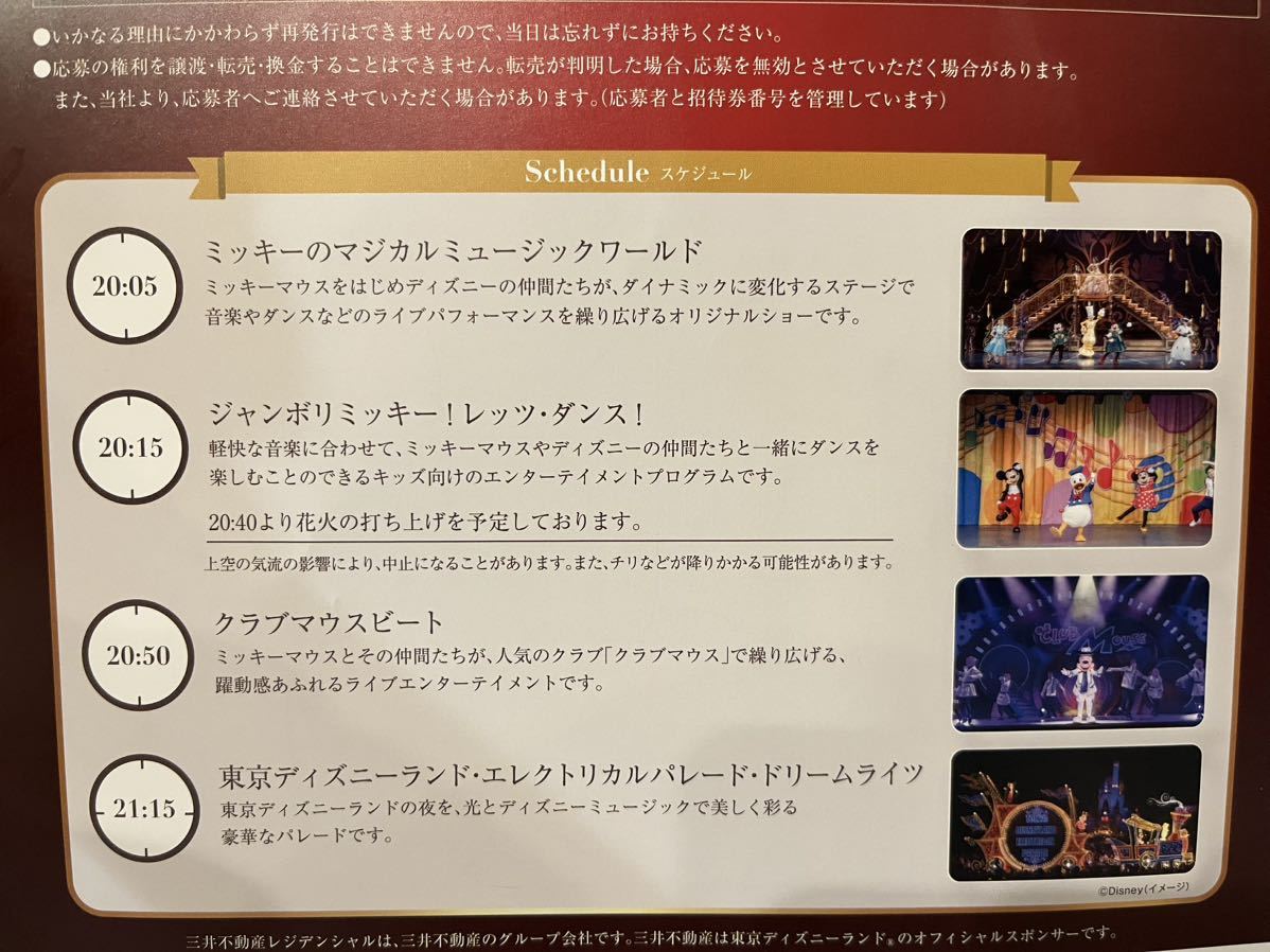 ブラウン×ピンク 東京ディズニーランド貸切イベント 2/24 19:30〜22:30