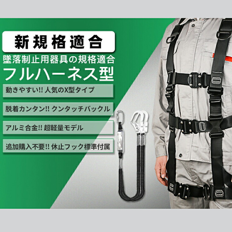 フルハーネス セット ハーネス安全帯 ランヤード 墜落制止用器具 一