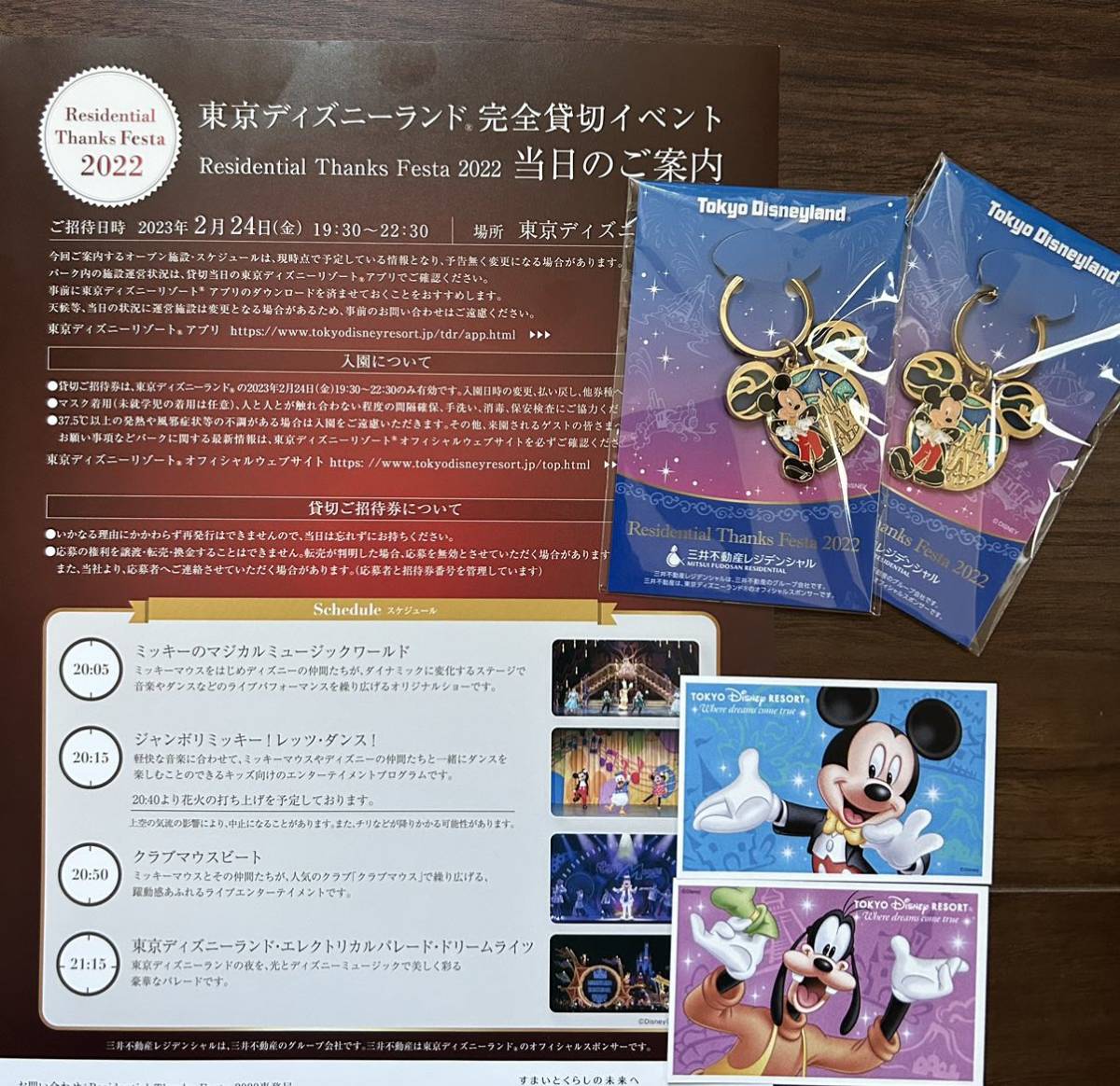 ブラウン×ピンク 東京ディズニーランド貸切イベント 2/24 19:30〜22:30