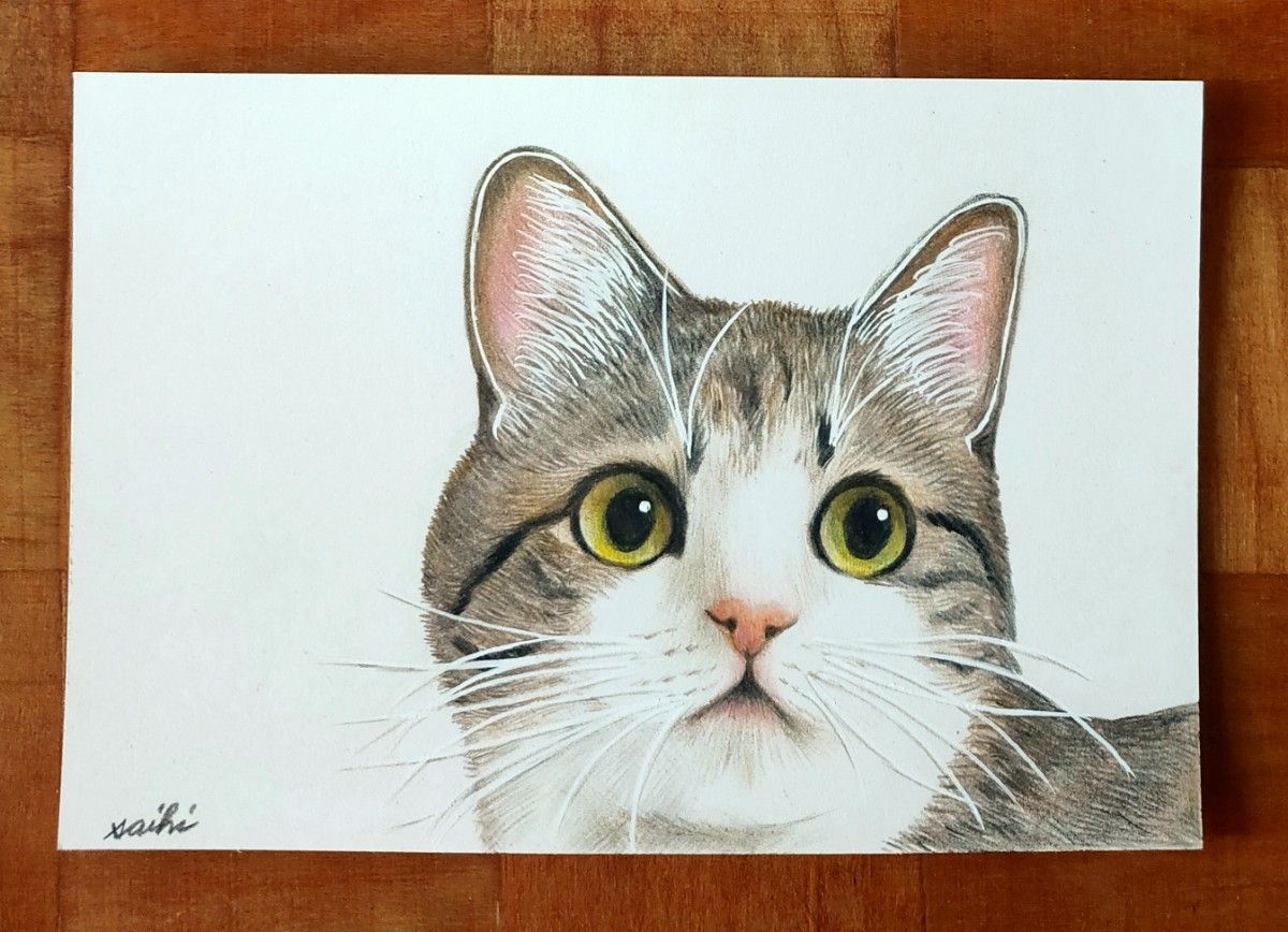 キジ白猫色鉛筆画|Yahoo!フリマ(旧PayPayフリマ) キジ白猫色鉛筆画|Yahoo!フリマ(旧PayPayフリマ)