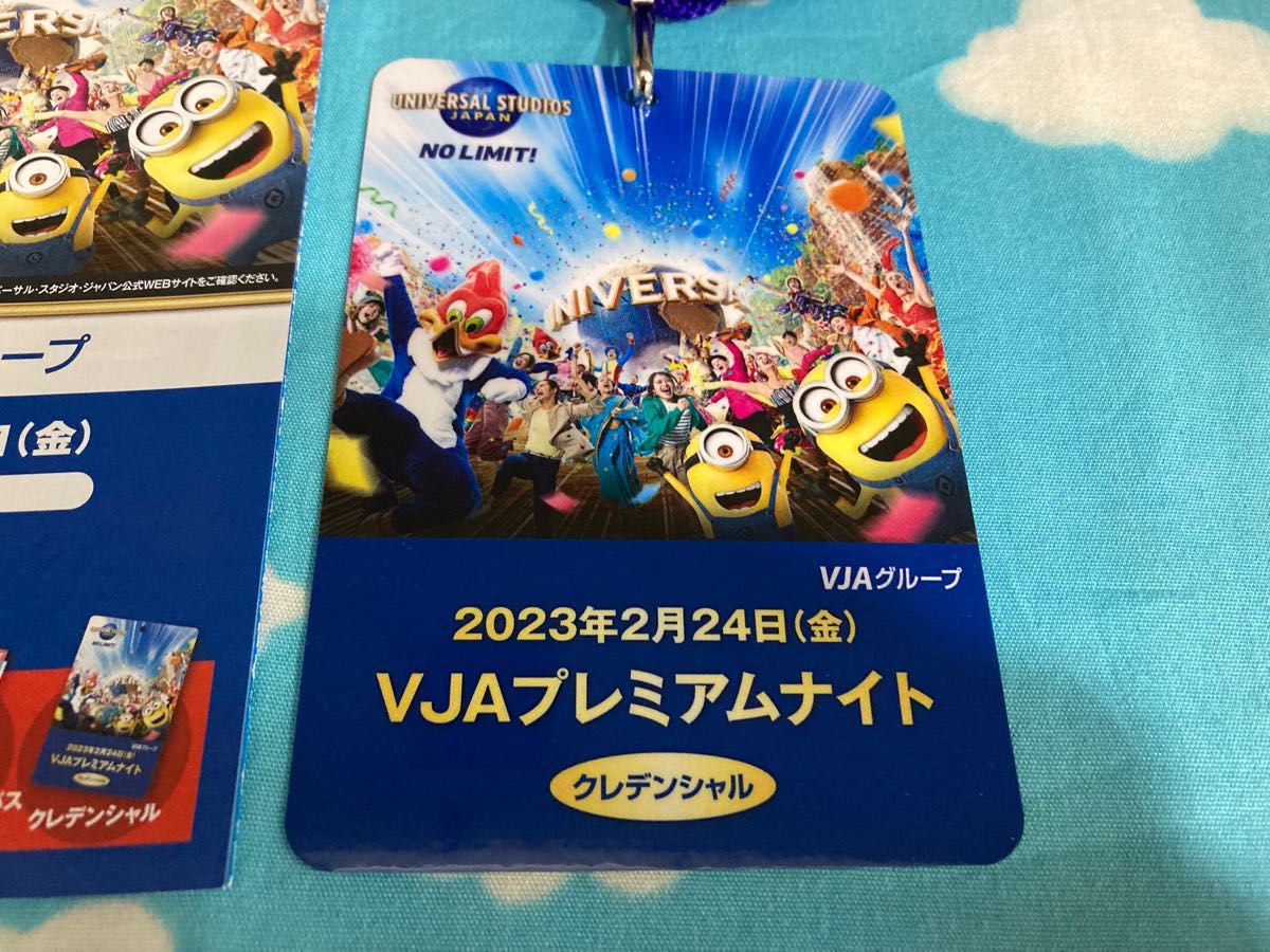 2月24日【貸切】ユニバーサルスタジオジャパン USJ チケット 2月24日【貸切】ユニバーサルスタジオジャパン USJ チケット