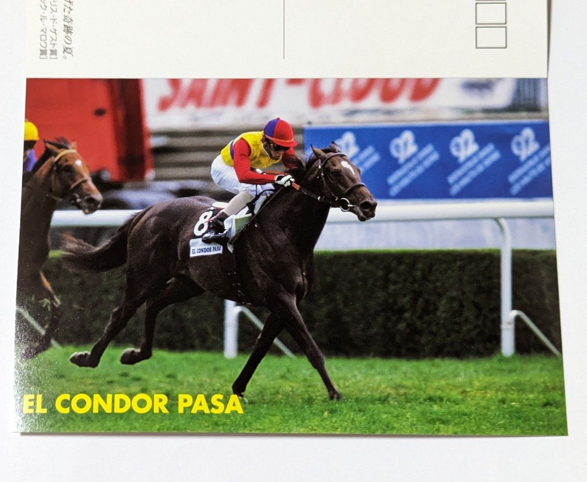 JRA 万年カレンダー ポストカード 5枚セット他 5点セット|PayPayフリマ
