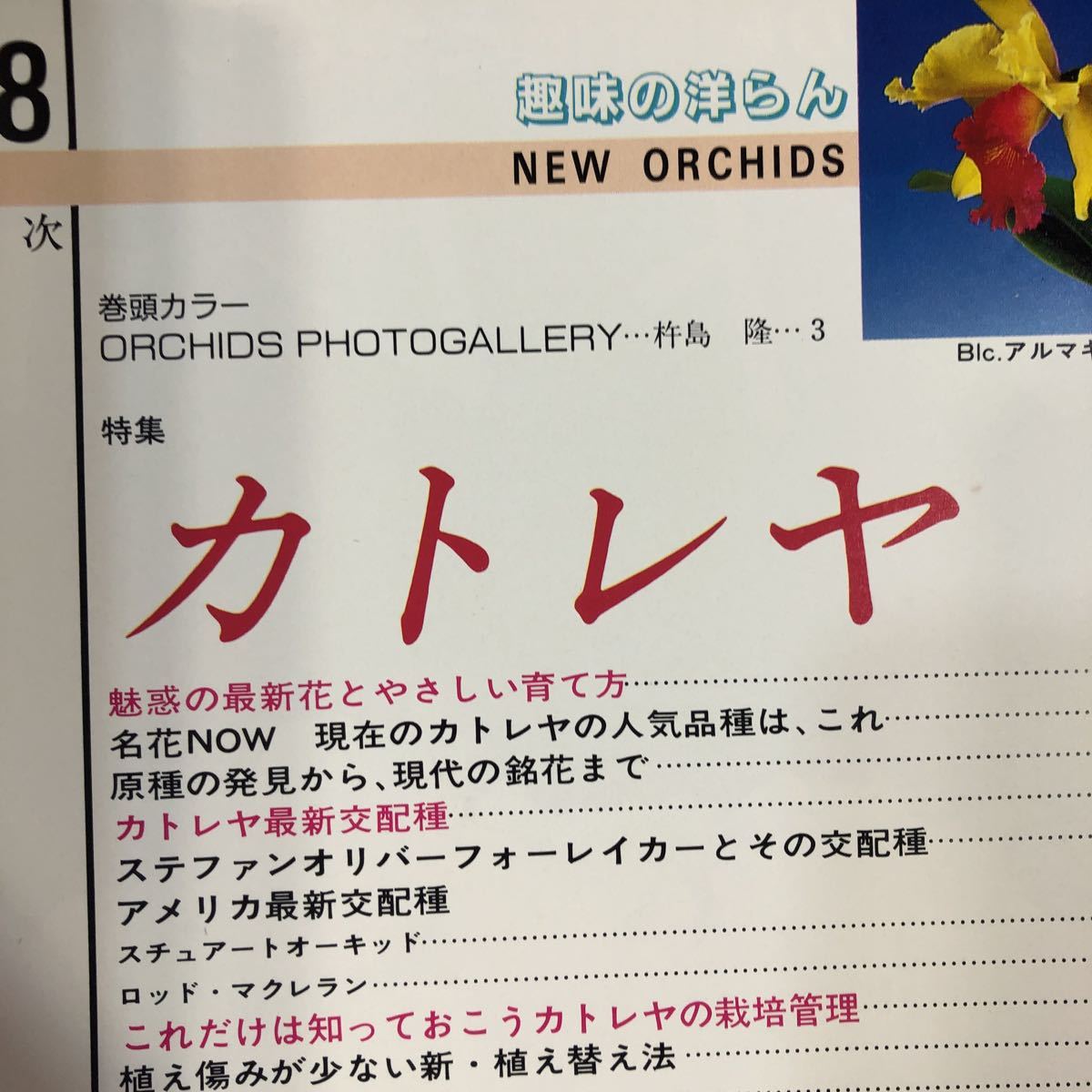  secondhand book . Ran information magazine hobby. ... new o- Kid No.028 (1988*3) Cattleya attraction. newest flower 
