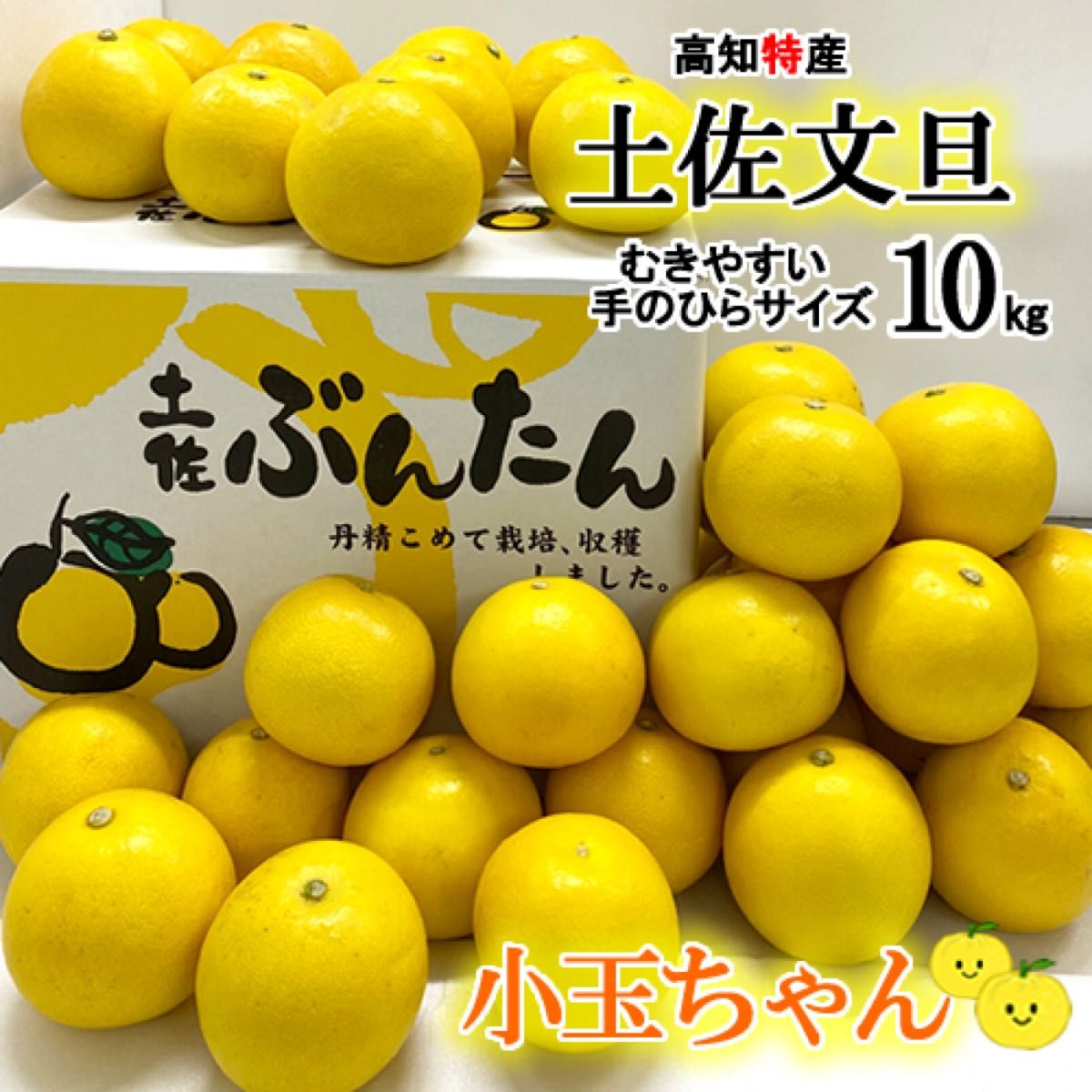 経典 25高知特産 お買い得 土佐文旦 文旦 露地栽培 3L4L約10kg