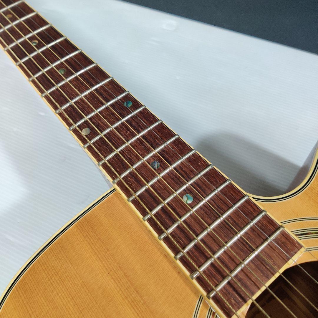 FINA FAW-800 (管理イサ) よく売れる dvap.uach.cl