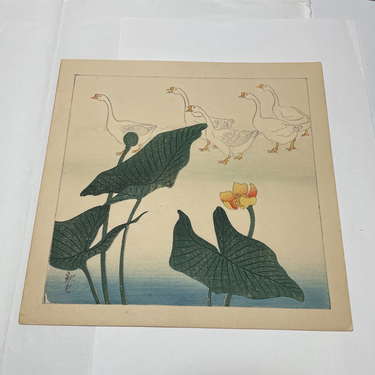 即決!真作 釈雪か?/木版画(仮題)アヒルと蓮(検索=川瀬巴水 土屋光逸