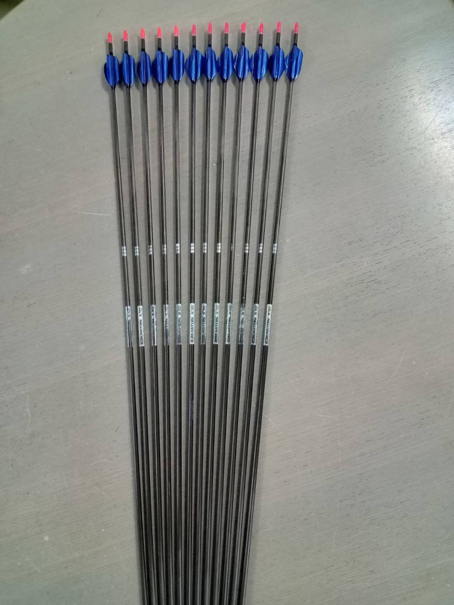 EASTON X10 450（9本）アーチェリー 矢 - その他